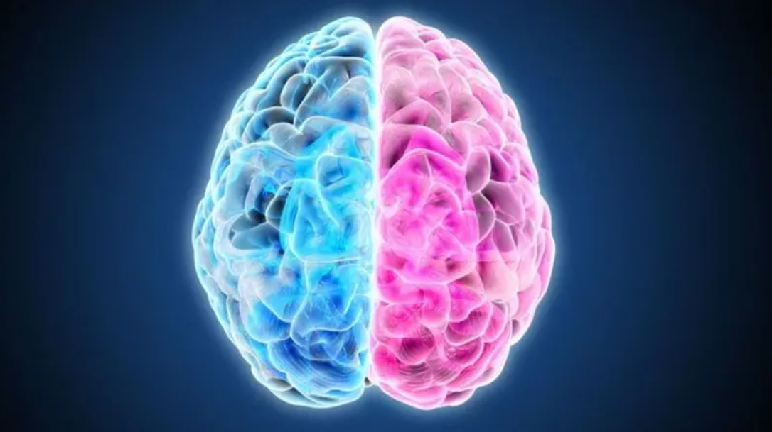 Brain health research